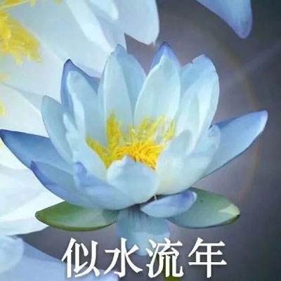 漫芽糖找茬游戏下载