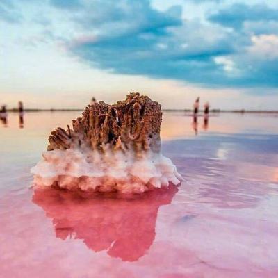 恐龙星球vr游戏下载
