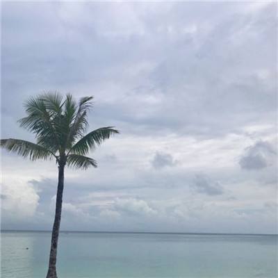 九游王者之路手游